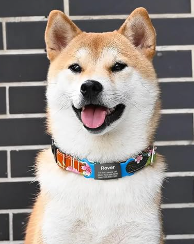 Pet Collar Tag