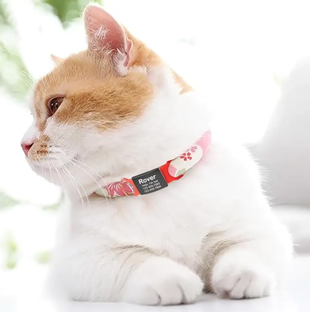 Etiqueta para collar de mascota